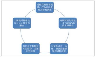 2018年中國網(wǎng)絡(luò)可視化市場現(xiàn)狀及發(fā)展趨勢